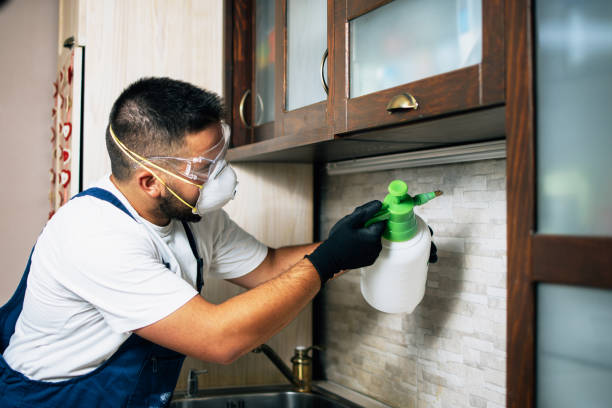 Best Mosquito Control Services  in Lacey, WA