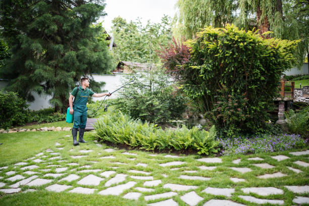 Best Pest Removal Services  in Lacey, WA