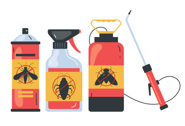 Best Rat Extermination Near Me  in Lacey, WA
