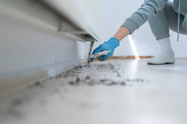 Best Pest Inspection Near Me  in Lacey, WA